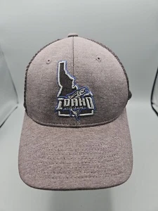 Idaho Steelheads Trucker Hat Gray Black Blue SnapBack Cap Hockey ECHL Zephyr - Picture 1 of 9