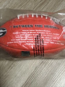 RAWLINGS GEORGIA FOOTBALL 2 Time National Champs 1942, 1980 Sanford Stadium - Picture 1 of 19