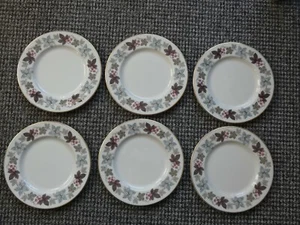 6 Royal Doulton Camelot TC 1016 Translucent China Salad / Luncheon Plates - Picture 1 of 6