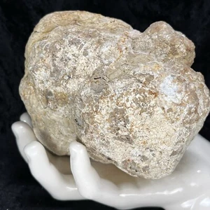 Unopened Geode 5” Crystal Rattler Natural Quartz Whole Break Your Own 2.6Lb Lg - Picture 1 of 9