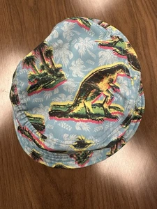 Original Chuck Bucket Hat One Size Fits Most T Rex Dinosaur EUC Clean! - Picture 1 of 6