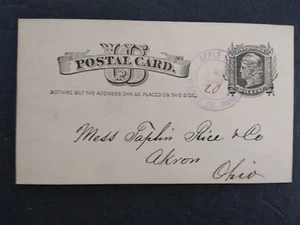 Ohio: Apple Creek 1882 Postal Card, Violet Wayne County Cancel - Picture 1 of 3