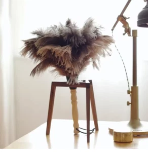 Premium Ostrich Feather Duster with Wooden Handle – Anti-Static Dust Brush - Picture 1 of 5