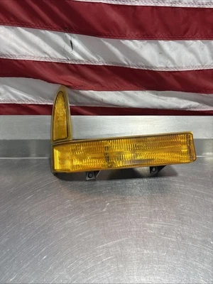 Conjunto de luz de estacionamiento señal de giro derecha Ford F250 F350 Super Duty 1999-2004 OEM Foto 1 de 4