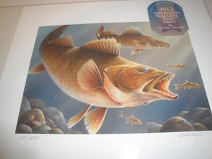 2013 Minnesota Walleye Stamp Print Nickolas Markell LOOK! - Picture 1 of 6