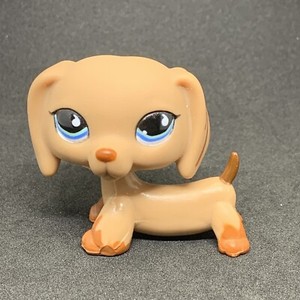AUTHENTIC Littlest Pet Shop #518 Dachshund Seaside Celebration LPS Generation 2