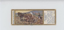 1932 Ty-phoo Work on the Farm Tea The Mangold Wurzel #25 0n8