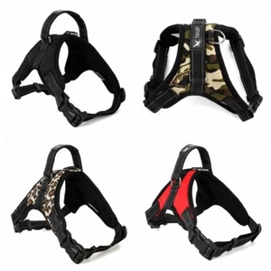 Adjustable Pet Dog Puppy Cat Control Harness Collar Soft Safety Strap Mesh Vest - Picture 1 of 18