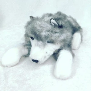 Folkmanis Timber Wolf Husky Full Body Hand Puppet Plush 24” stuffed animal - Picture 1 of 8