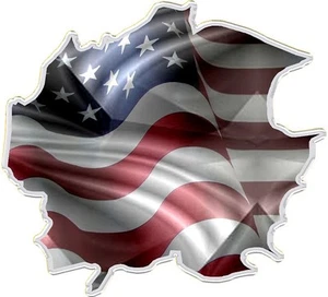 American flag race car go kart vinyl graphic decal - Picture 1 of 1