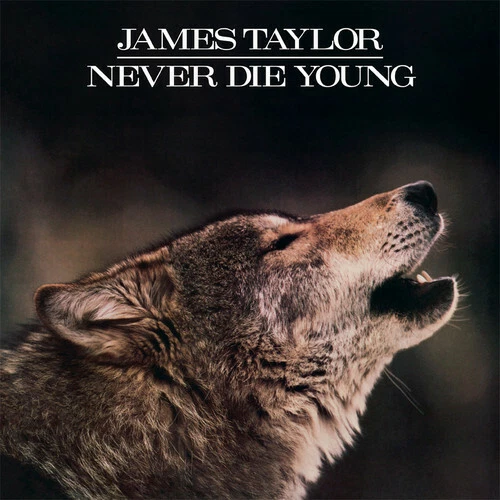 Never Die Young by Taylor, James (Record, 2013)