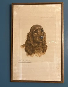 Leon Danchin "Red Cocker’s Head"Genuine Original French Etching 1938 Framed - Picture 1 of 16