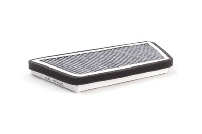 Filtro interior filtro de polen filtro aire interior SAK 176 - Imagen 1 de 2