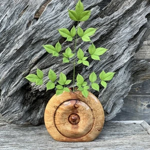 Vaso firmato D.L.Parsons scolpito legno di acero tornitura burl bud - Foto 1 di 20
