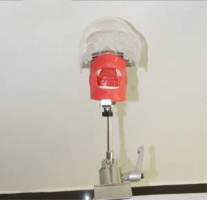 Modelo de cabeza fantasma dental con simulador de dientes de repuesto banco montado simple - Imagen 1 de 12