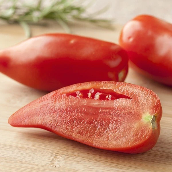 Lot De 10 Graines De Tomate Cornue Des Andes Andine Cornue Graines Seed Semences