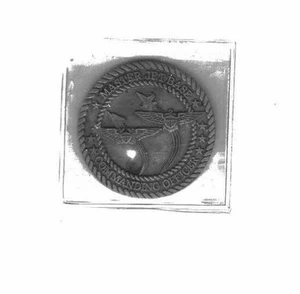 Master Jet Base Commanding Officer Honor Courage Commitment Shipmate Medal - Bild 1 von 2