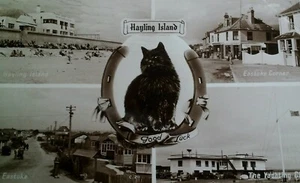 Hayling Island UK RPPC Postcard Mid 1900s Rare Portsmouth Eastoke Beach Cat Yach - Picture 1 of 7
