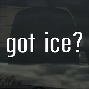 Got Ice? Custom Vinyl Sticker Decal Winter Skating Fishing Hockey Frozen - Picture 1 of 3
