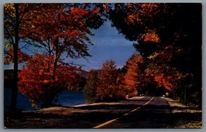 Postcard Scenic View Modern Highways Make Forst And Streams Accessible To All - Imagen 1 de 2