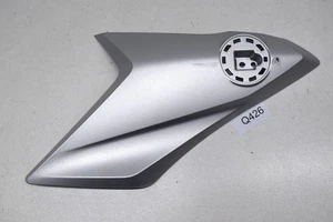 BMW G 310 GS 2016-2025 Fairing Left Cover Plate Carrier - Picture 1 of 6
