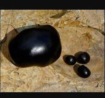 Shilajit - 75.8% Fulvic Acid. Ayurvedic Gold Standard. 100g - 500g. — 第 1/4 张图片