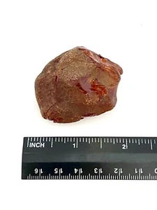 Natural Golden Baltic Amber Rough Specimen - 22.9g - Picture 1 of 3