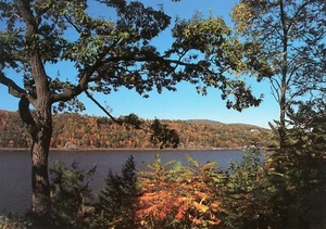 El río Hudson, de Hyde Park, Nueva York, UNP, en muy buen estado --POSTAL - Imagen 1 de 2