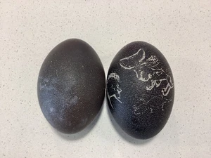 EMU EGGS BLOWN OUT ONE CARVED ONE READY FOR CRAFT - Bild 1 von 5