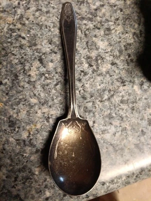 Cuchara plateada Foto 1 de 4