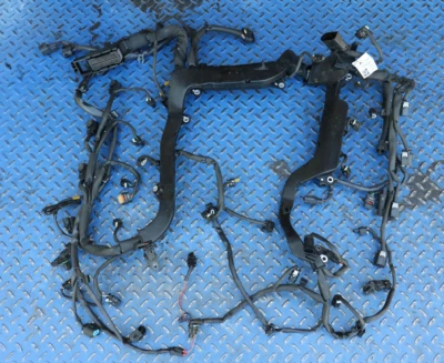 Arnés de cableado del motor Mercedes W221 S63 AMG 2011-2014 5,5 L V8 M157 FABRICANTE DE EQUIPOS ORIGINALES Foto 1 de 4