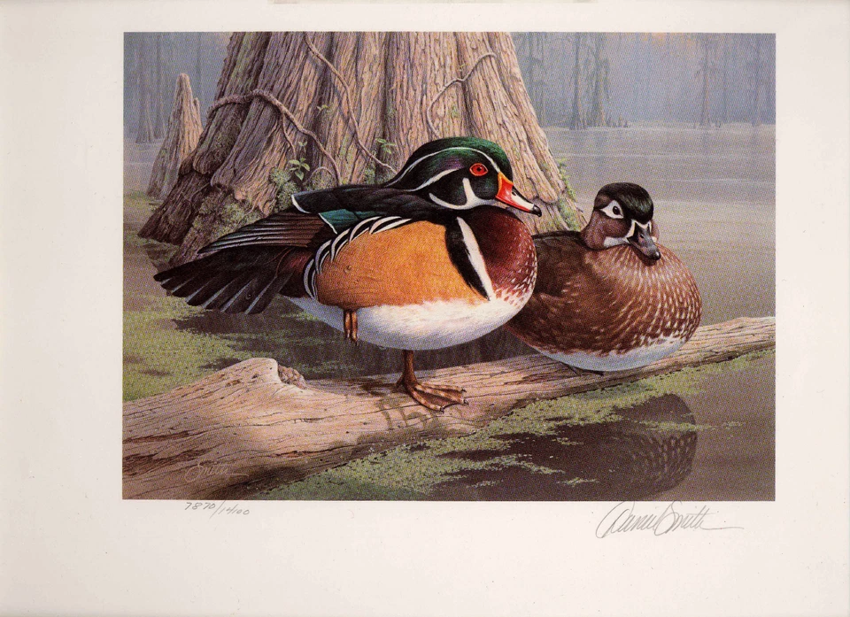 GEORGIA #1 1985 STATE DUCK STAMP PRINT WOOD DUCKS By Daniel Smith - Image 1 of 1