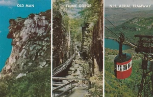NH, Francola Notch, White Mountains, New Hampshire, Multiview Souvenir Postkarte - Bild 1 von 2