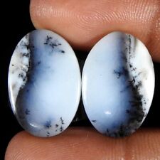 20.80Cts100%Natural Top Dendrite Opal Pear Cabochon Loose Gemstone