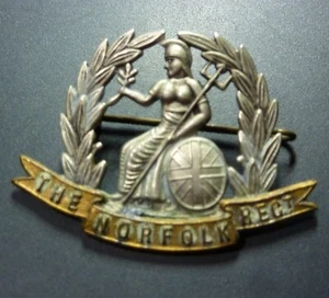 THE NORFOLK REGIMENT BADGE IN GOOD CONDITION - Picture 1 of 2