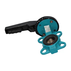 InterApp D10025.33 Butterfly Valve Most Industrial Applications Used UMP - Bild 1 von 8
