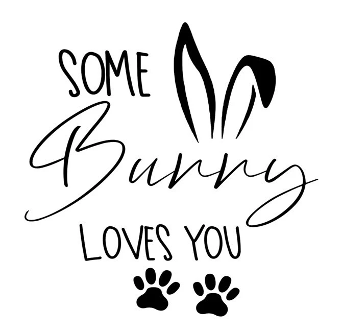 Пасхальная виниловая наклейка - дизайн Some Bunny Loves You - идеально подходит для коробок шляп, воздушных шаров - Изображение 1 из 1