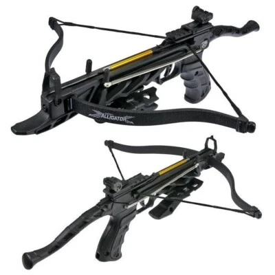 Pistola negra ARCHERY Hunting 80 lb ballesta auto amartillada con 3 pernos de flecha Foto 1 de 4