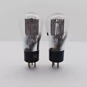 KL77303 RGN1064 Telefunken Big mesh plate cup getter,year mid.30s matched pair - Picture 1 of 4