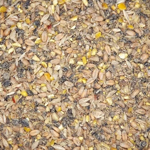 Scharrel-Mehl (Legemehl) 5kg Tierfutter - Bild 1 von 1