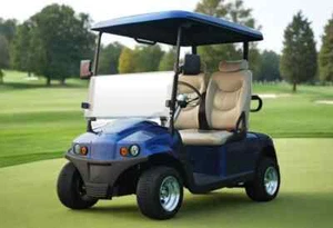 HAWK CARTS - RAZORBACK ELECTRIC 2 SEAT GOLF CART 100AH LITHIUM EV - Picture 1 of 5