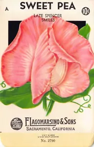 Vintage Samenpaket: Pink SWEET PEA, Lagomarsino & Sons, Sacramento, 40er Jahre - Bild 1 von 2