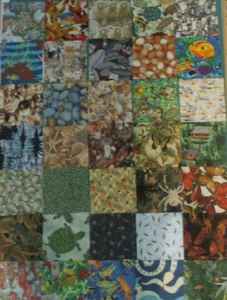 Baumwollstoff Menge 45 Charm Quadrate 5" Alle Natur Tiere Käfer für I Spy Quilt - Bild 1 von 7