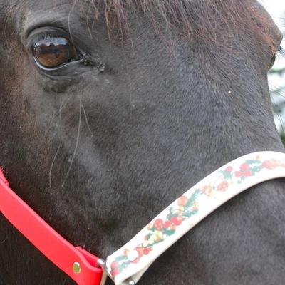Biothane Pferdehalfter - Weihnachtsgirlande - Bild 1 von 4