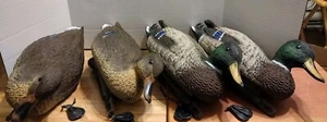 4 Floating Ducks Mallard Decoy Sport Made in Italy For Carry Lite - Picture 1 of 24