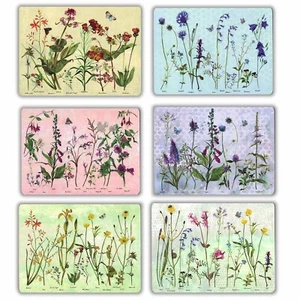 set of 6 wildflower Coasters, 6 different Coasters, with Giftbox - Picture 1 of 3