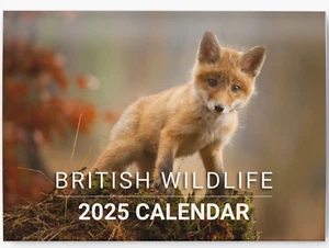2025 British Wildlife Calendar Wall Monthly Planner Family Home Organiser - Picture 1 of 8