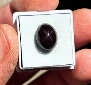 Natural star Garnet Asterism Pattern Rare 4 pointed star deep black red E0-1170 - Picture 1 of 11