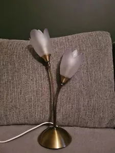 Nottingham Brassed Metal 2 Bulb Table Light With Glass Tulip Shades - Bild 1 von 24