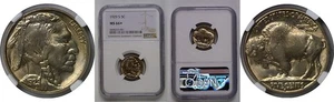 1929-S 5C Buffalo Nickel NGC MS-66+ - Picture 1 of 3